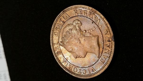 1882-H-C2/C1-Large-Cent?